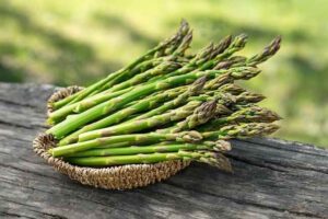 7 manfaat asparagus untuk kesehatan tubuh 0 alodokter Jurnal Sepernas