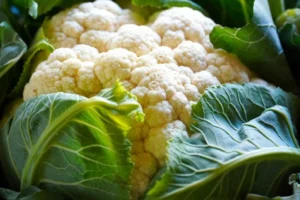 cauliflower g4a6f8e6d2 1920.jpg Jurnal Sepernas