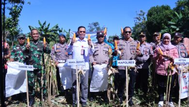 IMG 20250516 WA0004 Jurnal Sepernas