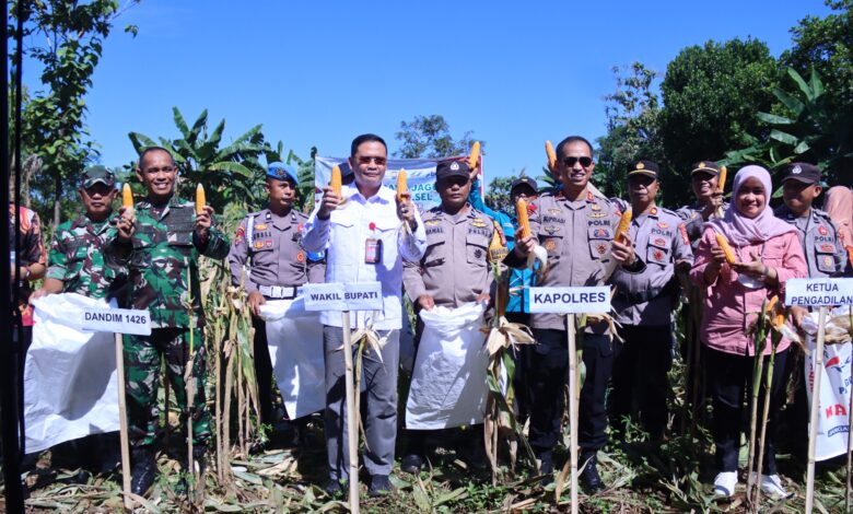 IMG 20250516 WA0004 Jurnal Sepernas