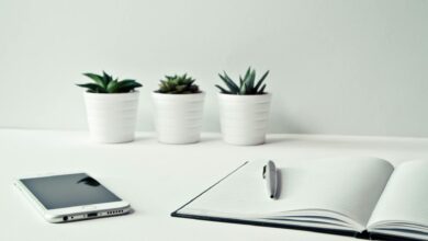 three white ceramic pots with green leaf plants near open notebook with click pen on top