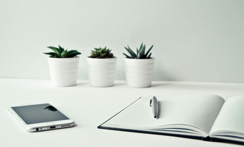 three white ceramic pots with green leaf plants near open notebook with click pen on top