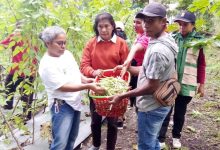 IMG 20260313 WA0005 Jurnal Sepernas