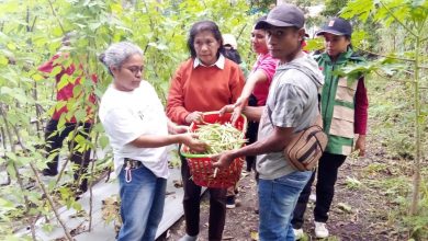 IMG 20260313 WA0005 Jurnal Sepernas