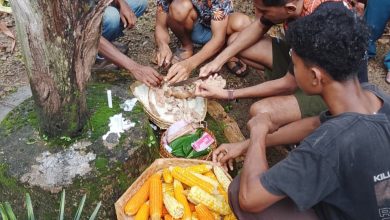 IMG 20260322 WA0002 Jurnal Sepernas